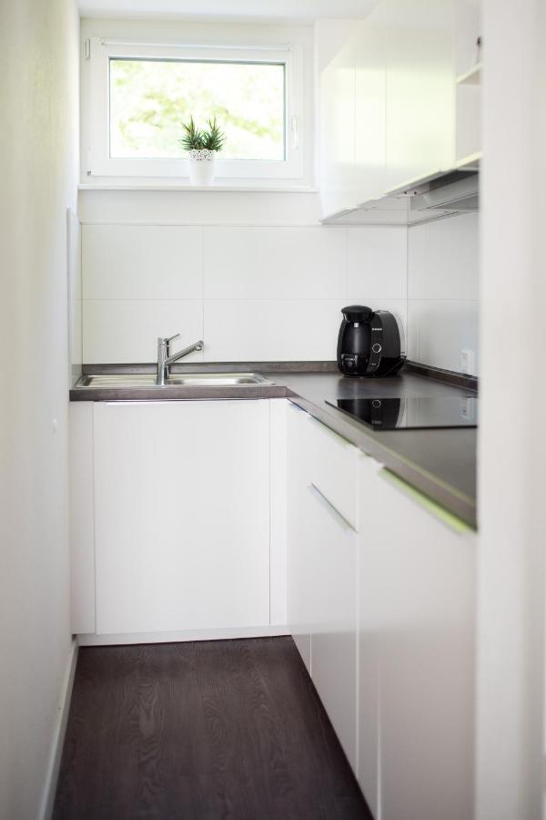 Keller Apartment Sulz am Neckar Buitenkant foto